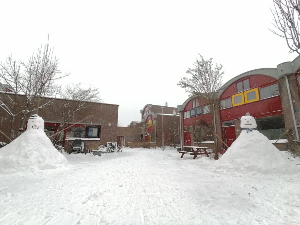 IMG-20210208-WA0010